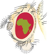 DrosAfrica » Home Page