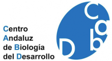 Centro Andaluz de Biologia del Desarrollo